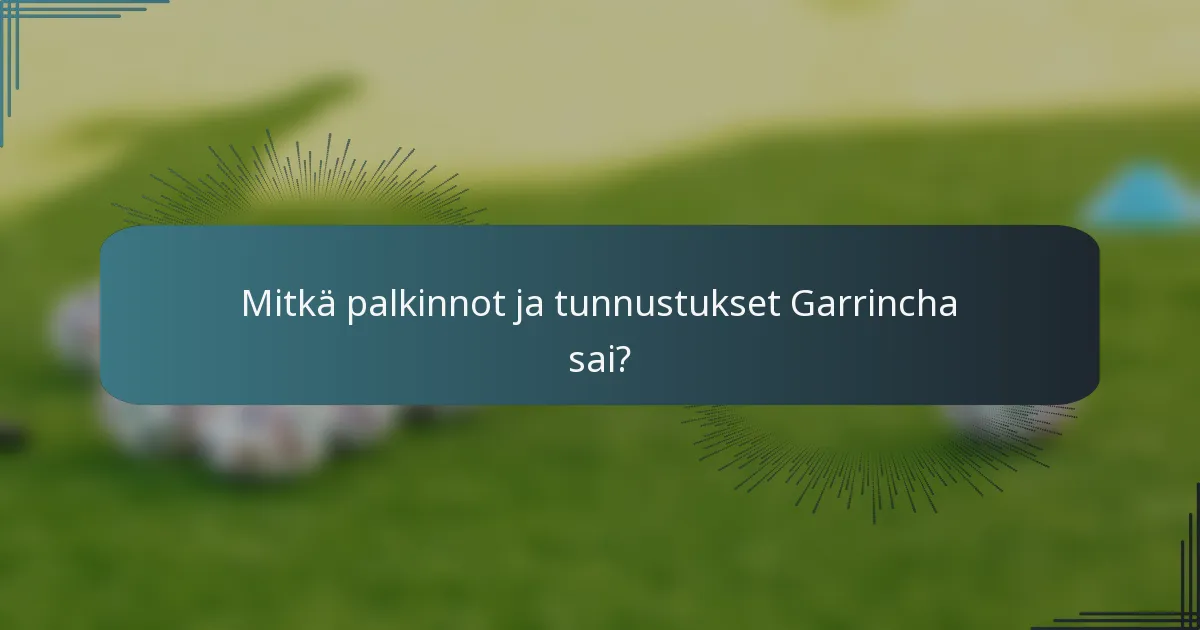 Mitkä palkinnot ja tunnustukset Garrincha sai?